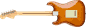 Rosewood Fingerboard, Honey Burst 2.png